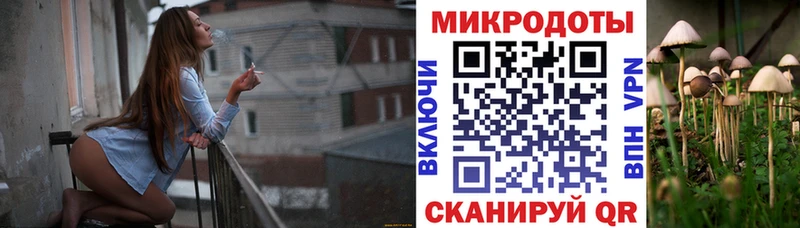Галлюциногенные грибы прущие грибы Ульяновск