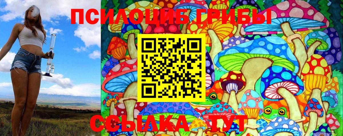 Ульяновск  Галлюциногенные грибы Psilocybe  Вход с VPN 